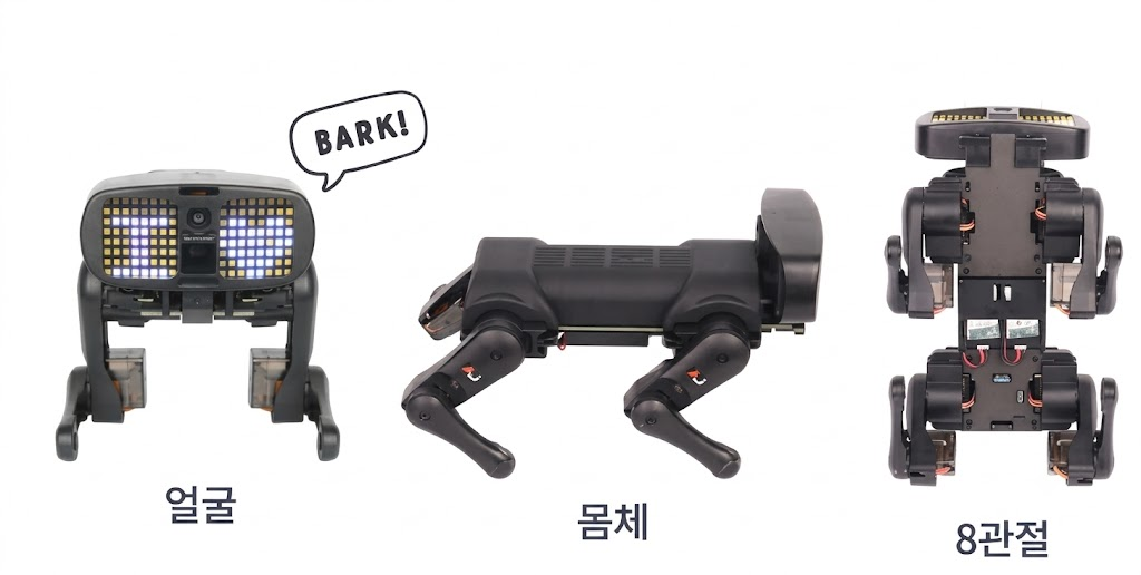 로보독 인터랙션
